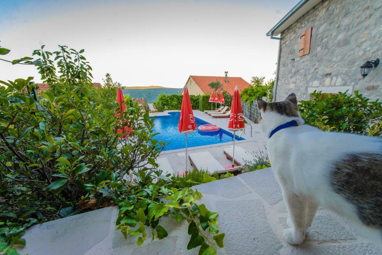 Mediteraneo Villa Kaluđerovići Kültér fotó